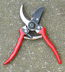 Pruning Shears for light trimming